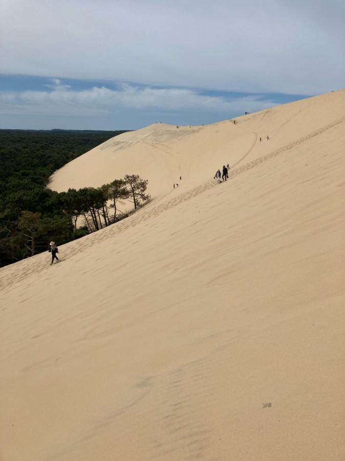 Village Seasonova Bassin D'Arcachon Audenge Εξωτερικό φωτογραφία